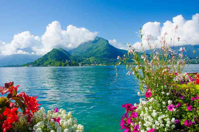 Seeblick und Sommerblumen - © Simon Dannhauer - stock.adobe.com